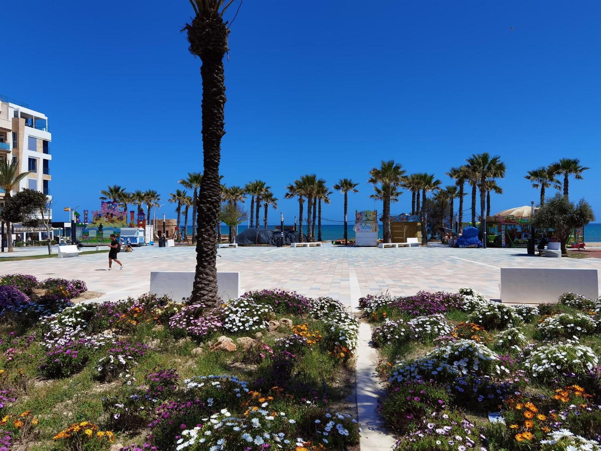 Palmas Apartments La Mata  Dış mekan fotoğraf
