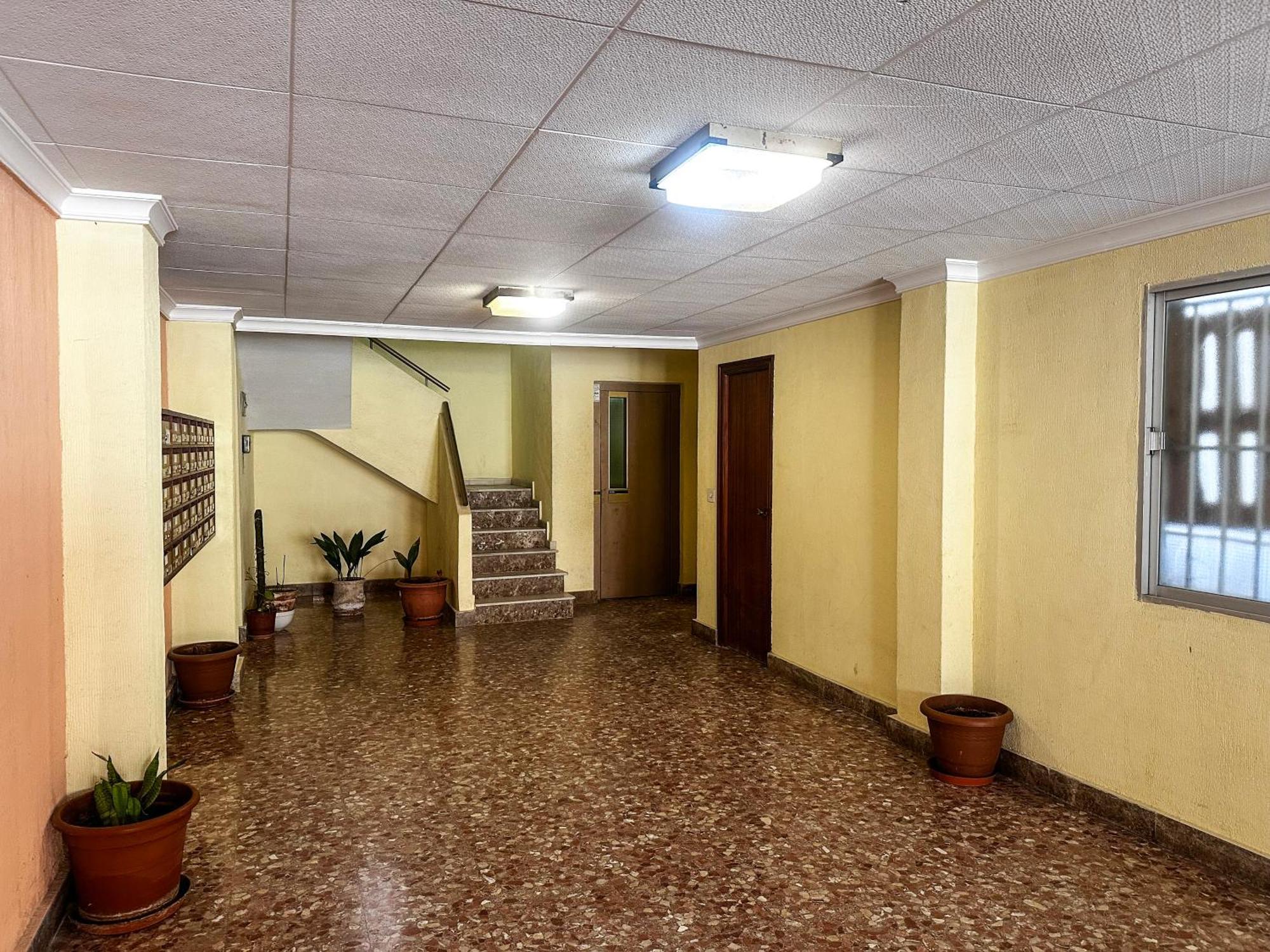 Palmas Apartments La Mata  Dış mekan fotoğraf